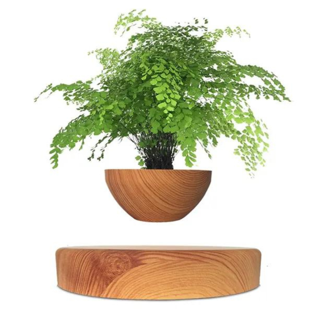 FloraSchwebe Levitationslampe