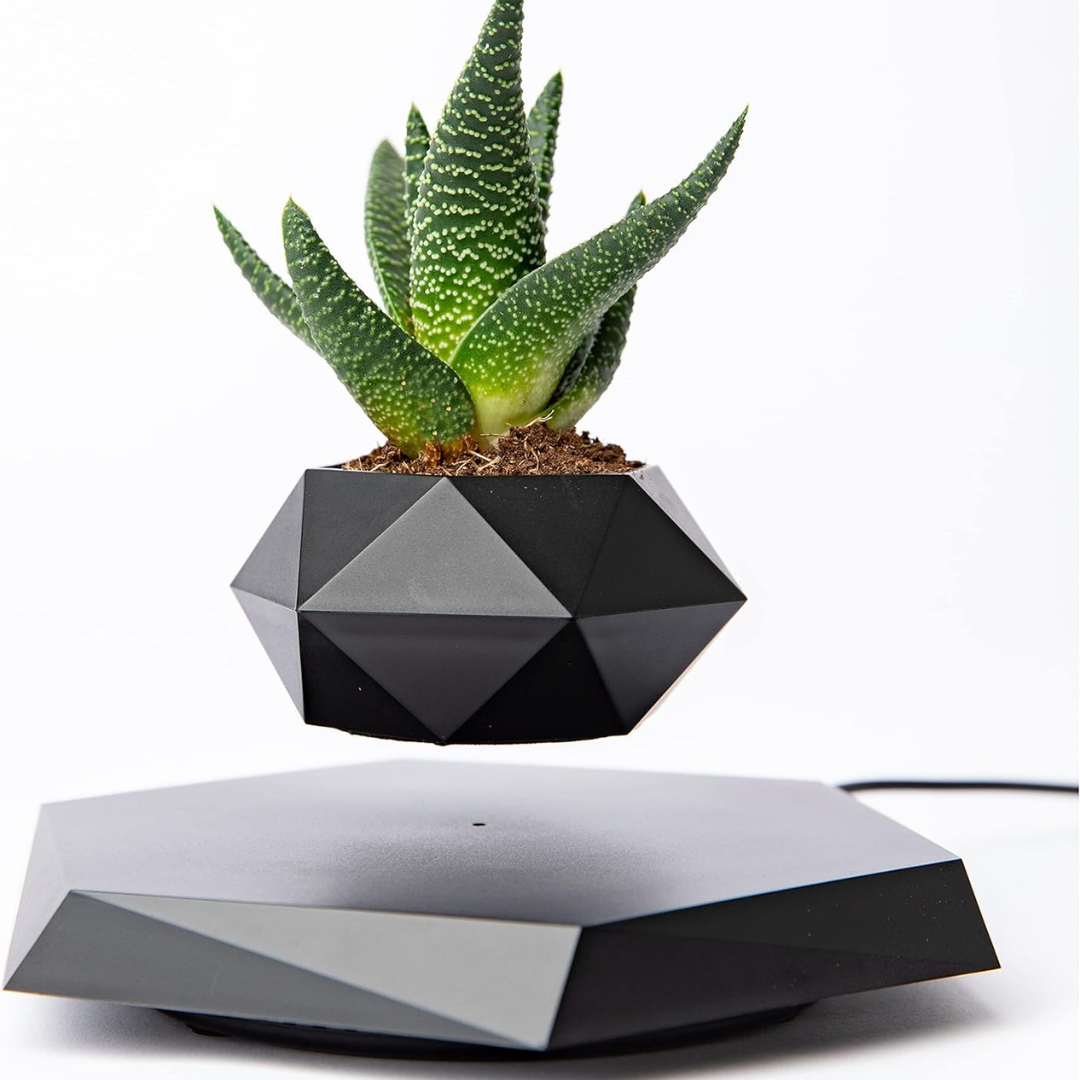 FloraSchwebe Levitationslampe